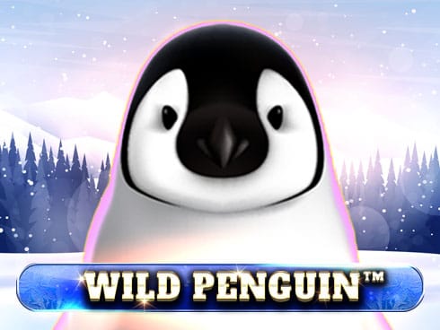 Wild Penguin screenshot